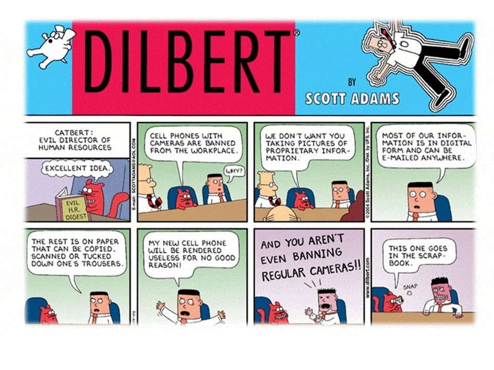 A, Dilbert và những câu chuyện công sở hài vật vã!